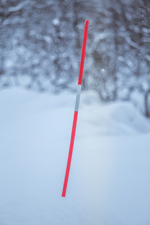 A beautiful white road through the forest in central Norway with safety poles. Beautiful winter landscape in Scandinavia.の写真素材