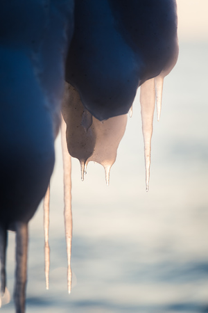 A beautiful hangign icicles of salt water on the coast of Baltic sea. Ice in the beach at winter. Frozen water formations.の写真素材