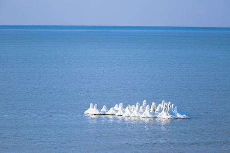 Beautiful frozen poles on the coast of Baltic sea. Ice formations in the winter. Winter landscape of...