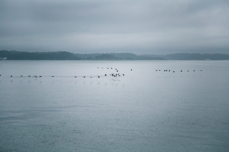 A dramatic, overcast scenery on the coeast of fjord during a ferry ride in Norway near Bergen. Moody autumn landscape of fjord.の写真素材