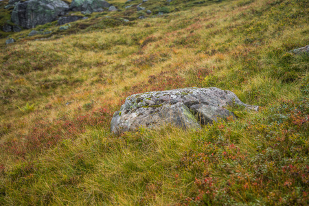 A beautiful autumn landscape in Folgefonna National Park in Norway during a hike in windy, rainy weather. Mountains in Scandinavia. Autumn scenery in wilderness.の写真素材