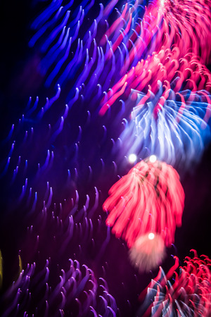 A beautiful, abstract artistic image of New Year Eve fireworks. Colorful picture with blur and lights.  Festive background image.の写真素材