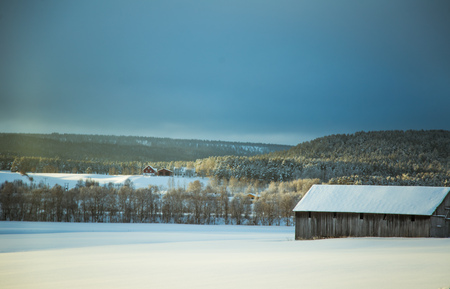 A beautiful winter landscape in Norway. Snowy scenery. Scandinavian winter.のeditorial素材