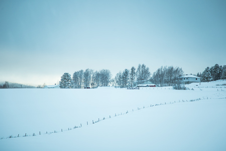 A beautiful winter landscape in Norway. Snowy scenery. Scandinavian winter.のeditorial素材