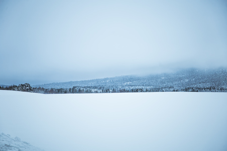 A beautiful winter landscape in Norway. Snowy scenery. Scandinavian winter.の写真素材