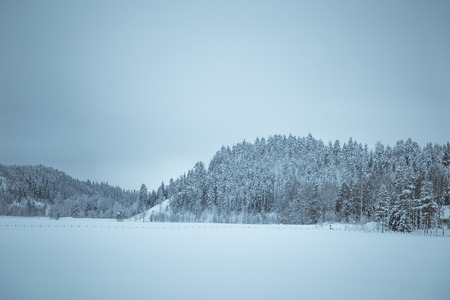 A beautiful winter landscape in Norway. Snowy scenery. Scandinavian winter.の写真素材
