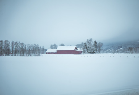 A beautiful winter landscape in Norway. Snowy scenery. Scandinavian winter.のeditorial素材