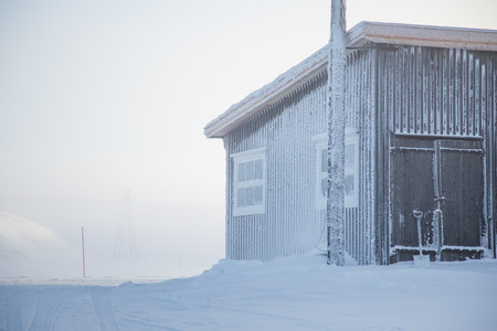 A beautiful, misty morning in the Norwegian hills in winter. White, hazy landscape. Near the small Norwegian town Roros.のeditorial素材