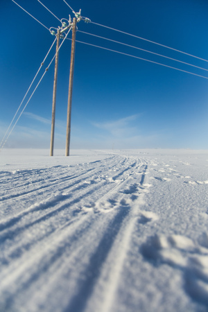 A beautiful, misty morning in the Norwegian hills in winter. White, hazy landscape. Near the small Norwegian town Roros.の写真素材