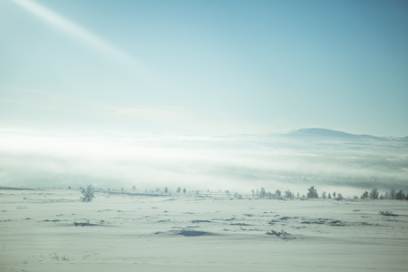 A beautiful, misty morning in the Norwegian hills in winter. White, hazy landscape. Near the small Norwegian town Roros.の写真素材