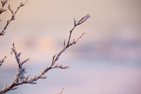 A beatiful sunset landscape of a small Norwegian ton Roros. WInter scenery with an evening sun. Warm, relaxing atmosphere.の写真素材