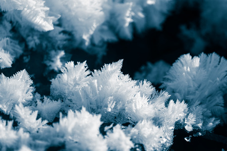 A beautiful snow closeup in a winter day. Norwegian winter scenery.