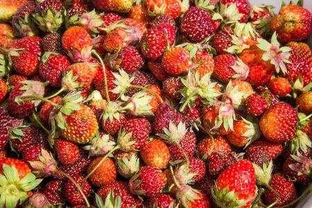 Beautiful, freshly picked garden strawberries in a bowl. Healthy vegan, ecological food in summer.の写真素材