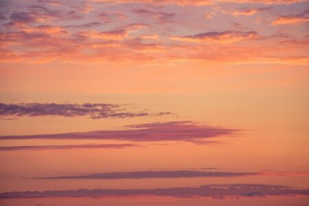 A beautiful, golden sunset over the rapeseed field in Latvia, Northern Europe. Evening light at the...