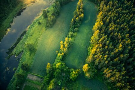 A beautiful view from the above to the forest in summer morning. Aero photography of the wild woods.の写真素材