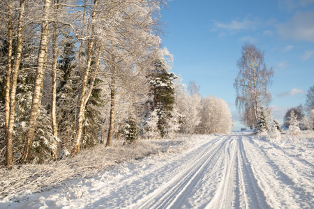 A beautiful winter day landscape of a gravel road near the forest. Snow covered scenery of Northern Europe.の写真素材