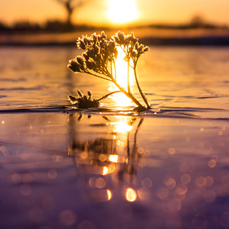 Brightly lit frozen, snow covered plants during the sunrise hour. Small winter svenery with a first snow in the morning. Roadside plants with snow during vibrant sunrise.の写真素材