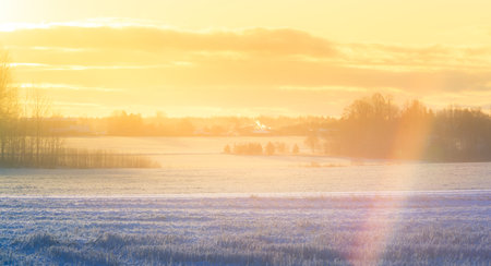 A beautiful, bright, colorful landscape of a winter sunrise. Bright sky and first snow. Winter scenery of a Northern Europe during the sunrise.の写真素材