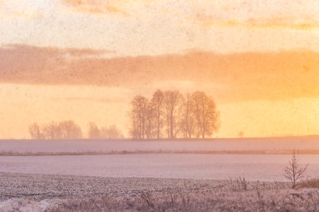 A beautiful sunrise sceney with bare tree silhouettes against the sunrise sky. Early winter landscape of Northern Europe. Bright, colorful scene.の写真素材