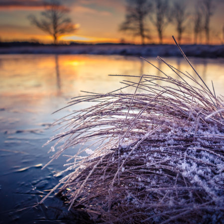 A beautiful frozen pond in the rural scene during the morning golden hour. A winter scenery of Northern Europe. Early winter lanscape with trees and ice in the pond.の写真素材