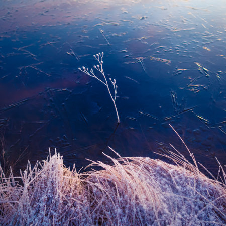 A beautiful frozen pond in the rural scene during the morning golden hour. A winter scenery of Northern Europe. Early winter lanscape with trees and ice in the pond.の写真素材