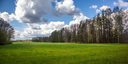 A beautiful springtime scenery with cloudy sky. Sunny day with clouds during spring in Northern...