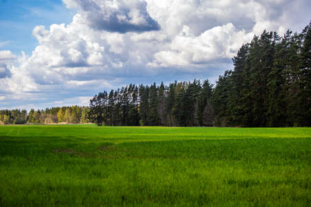 A beautiful springtime scenery with cloudy sky. Sunny day with clouds during spring in Northern...