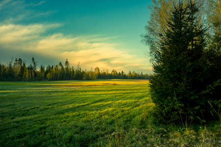 A beautiful springtime scenery with cloudy sky. Sunny day with clouds during spring in Northern Europe. Natural rural landscape.の写真素材