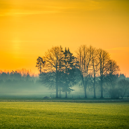 A beautiful springtime dawn landscape before the sunrise. Soft, diffused light over the rural scenery during spring. Misty landscape of Northern Europe.の写真素材