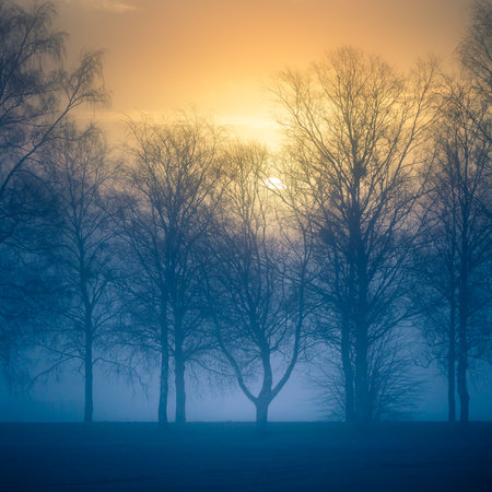 A beautiful springtime dawn landscape before the sunrise. Soft, diffused light over the rural scenery during spring. Misty landscape of Northern Europe.の写真素材