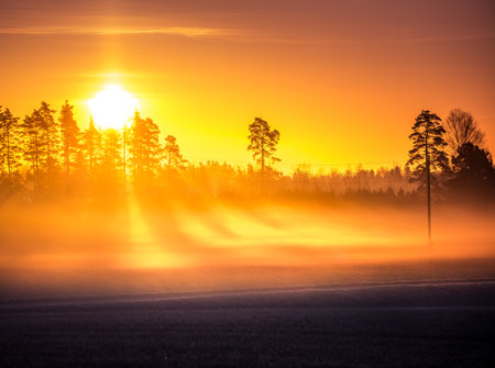 A beautiful misty morning in the spring. Sun shining throught the mist. Soft, warm, diffused light...