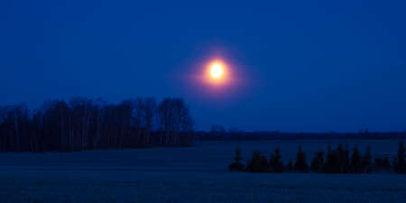 A beautiful skyscape with a moon in the dark skies. Springtime scenery before the dawn with moon. Spring nights in Northern Europe.の写真素材