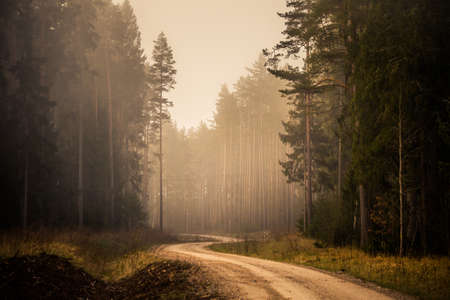 A beautiful spring landscape with a gravel road. Springtime scenery of an old road in Northern...