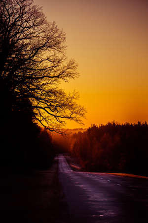 A beautiful landscape with a country road in misty morning during the sunrise. Morning scenery of a road in sprintime. Northern Europe.の写真素材