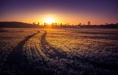 A beautiful sunny spring morning in Northern Europe. Springtime scenery of the countryside. Morning...