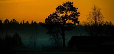 A beautiful sunny spring morning in Northern Europe. Springtime scenery of the countryside. Morning landscape in the rural area during spring sunrise.の写真素材