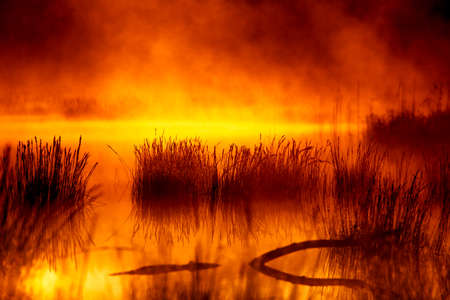Dramatic, artistic scenery of a sunrise over flooded wetlands in Northern Europe. Springtime swamp...