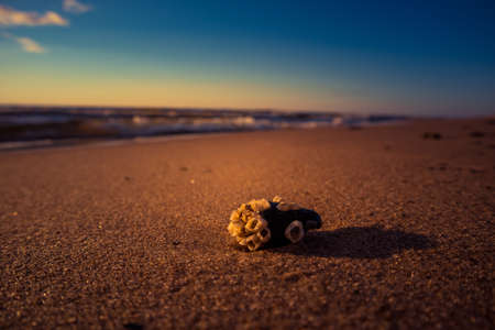 A beautiful details of a sandy beach at the Baltic Sea in Northern Europe. Beach closeup with small rocks.の写真素材