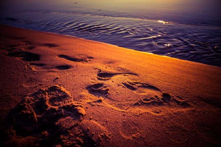 A beautiful sunset at the Baltic sea beach. Sandy beach with a bare human footprint. Colorful scenery of a seaside in Northern Europe.の写真素材