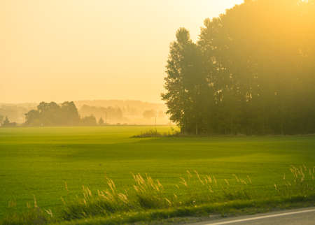 A beautiful sunrise landscape of a misty meadow. Summertime scenery of Northern Europe.の写真素材