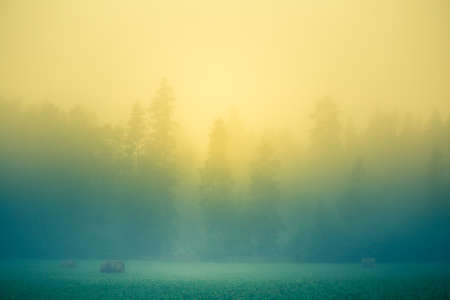 Sunlight shining through mist and trees during a summer sunrise. Summertime scenery of Northern Europe.の写真素材