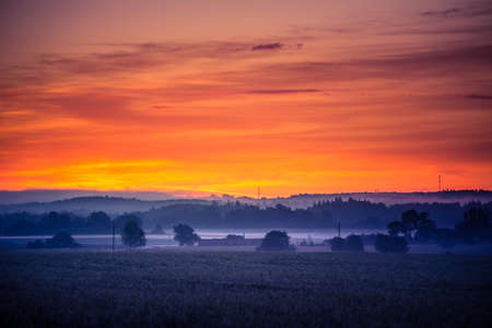 A misty morning landscape of a field with trees in distance. Summertime scenery of Northern Europe.の写真素材