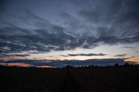 A beautiful morning landscape during the dawn before the sunrise. Summertime scenery of Northern Europe.の写真素材