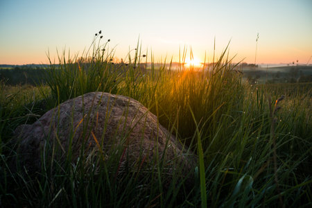 Sunrise landscape with rocks on the side of the meadow and field. Summertime scenery of Northern Europe.の写真素材