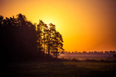 A beautiful evening scenery of a rural landscape. Sunset in the country landscape. Summertime scenery of Northern Europe.の写真素材