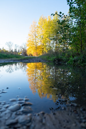A beautiful autumn scenery at the forest lake with reflections. Fall scenery of Northern Europe.の写真素材