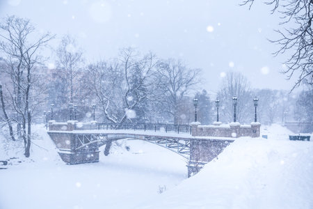 A beautiful details of a snowy Riga - capital of Latvia. Winter day in the city of Northern Europe.の写真素材