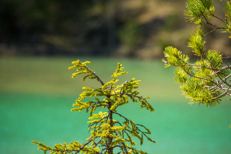 A beautiful spring scenery at the small lake with turquoise blue water. Northern Europe.の写真素材