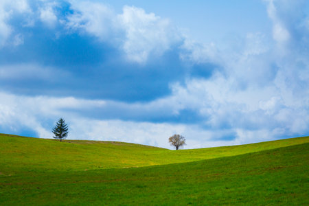 A beautiful spring landscape with a meadow on hillside. Seasonal scenery of Northern Europe.の写真素材