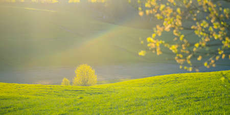 A beautiful spring landscape with a meadow on hillside. Seasonal scenery of Northern Europe.の写真素材